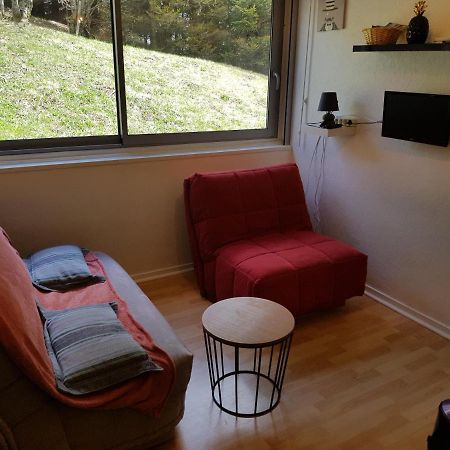 Piste Verte Apartamento Besse-et-Saint-Anastaise Exterior foto