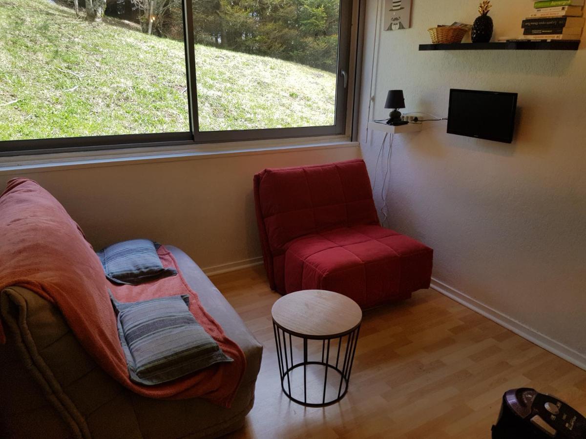 Piste Verte Apartamento Besse-et-Saint-Anastaise Exterior foto